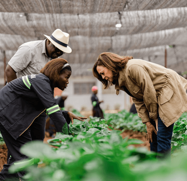 African agri-talent in agricultural setting